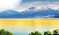 8月1日是什么节日-8月1日出生的名人