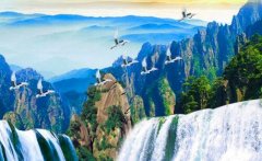 33朵玫瑰代表什么-玫瑰花33朵什么意思