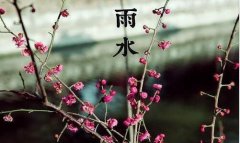 菡萏-带菡萏的古诗词