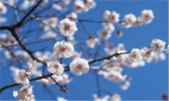 蜿蜒起伏的意思-蜿蜒起伏的意思简写