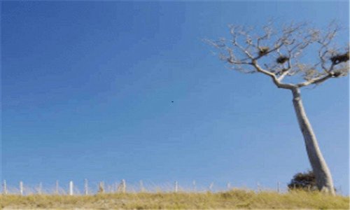 一一个支付宝可以绑定几个淘宝