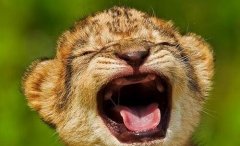 可行性分析-可行性分析的四个方面