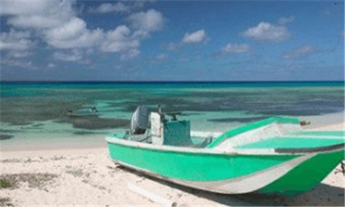 三爱奇艺2019vip账号共亨