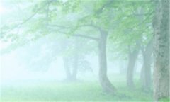 u盘怎么装系统-u盘安装重装系统步骤图解
