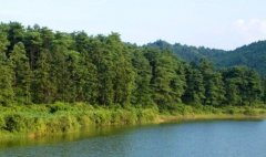 索尼彩电-索尼48寸液晶电视