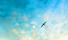 富士康是什么-富士康识别码分别是什么意思