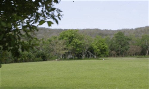 二ps4注册香港地址填什么