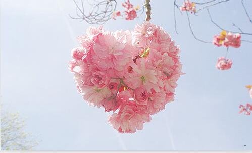一御银信息科技