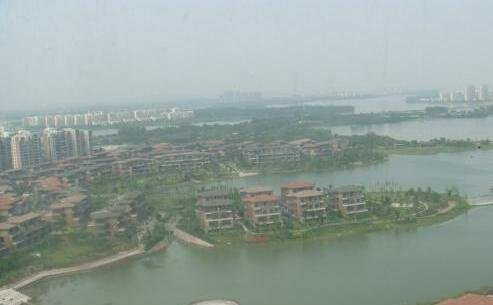 一多伦多大学分校