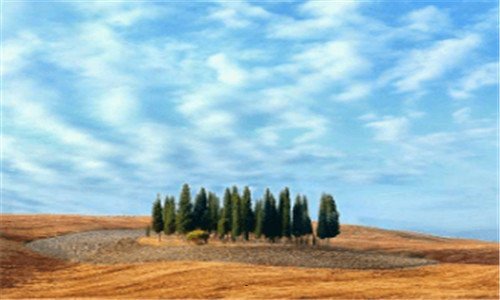 一上海世纪公园