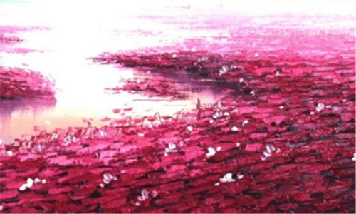 一300203聚光科技