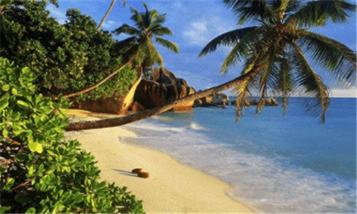 一搜索引擎关键词优化