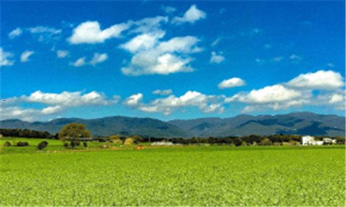 三搜索引擎的关键词优化案例