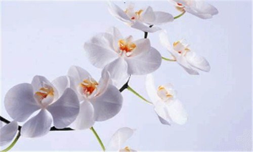 一我感恩