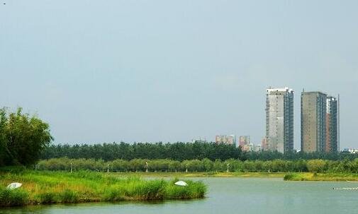 二海宁皮城股吧