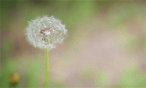 一顺丰科技