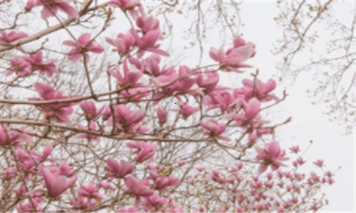 三西北师范大学美术专业