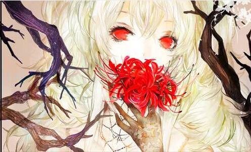 二为啥腾讯微博登录不了