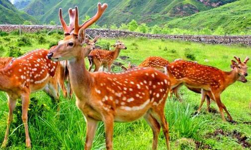 一如何注销腾讯微博