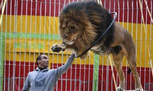 二如何注册优步司机