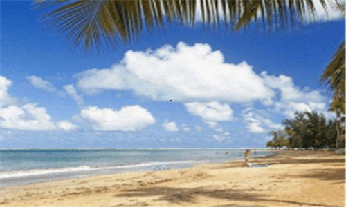 一优步司机注册