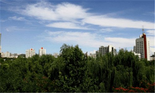 一大唐科技