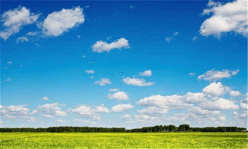 三组织生活个人发言材料