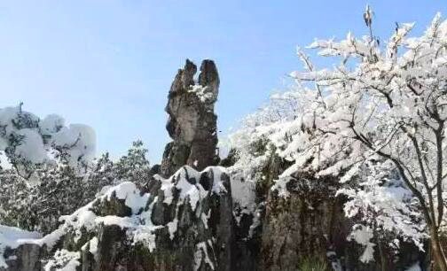 二生活家家居是干什么的