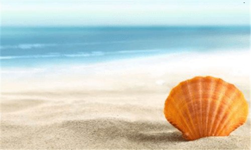 一贸易公司注册多少钱