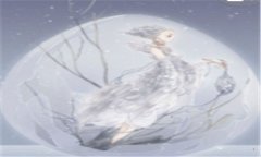如何治疗假性近视-假性近视怎样治疗效果好