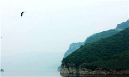 二五斗柜尺寸图片