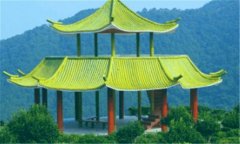 黄牛是什么意思-黄牛是怎么抢到票的