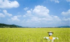 重庆大学城市科技学院-重庆城市科技学院好吗