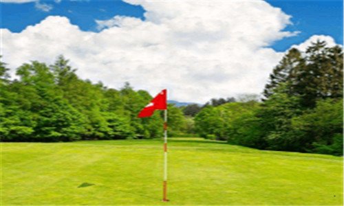 二微信公众号登录平台登录手机版