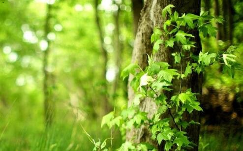 二水晶光电股吧东方财富