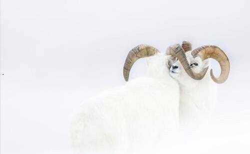 一微信平台登录