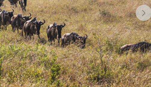一怎么进入注册表
