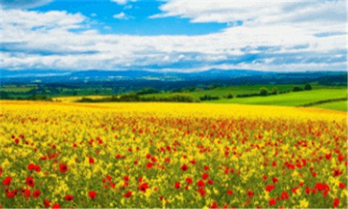 三6月份节日大全