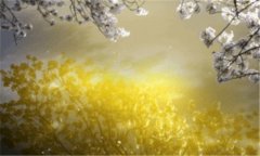 江西科技学院-江西科技学院好不好