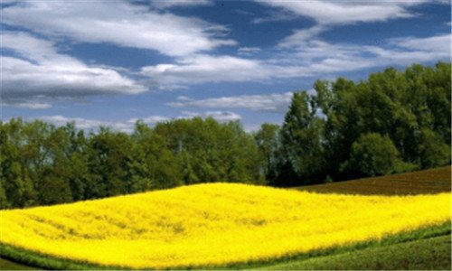 一工商注册程序