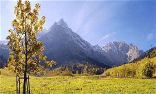 二电脑登录密码怎么设置