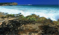 海峡生活报-厦门日报