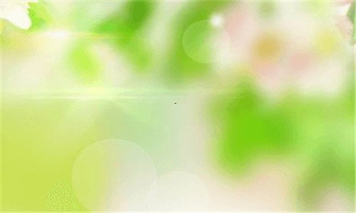 二甘肃省科技厅各处处长