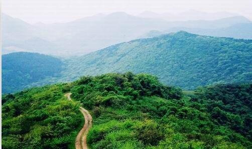 二神经衰弱吃什么水果好