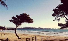 流动比率和速动比率-流动比率和速动比率下降