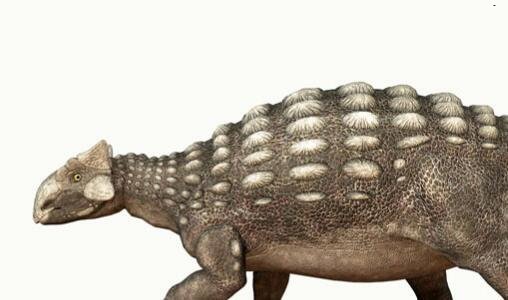 三华夏人寿官网登录