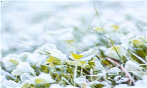 三苹果定制机是什么意思