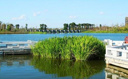 一商标注册流程