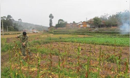 一怎样打开注册表