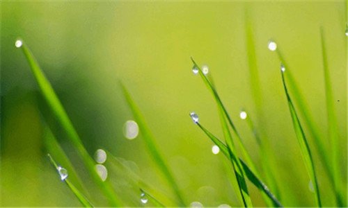 二活动方案范文